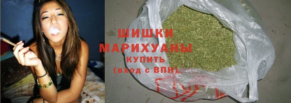 молекула духа Дмитровск
