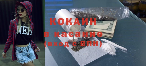 сатива Гусев