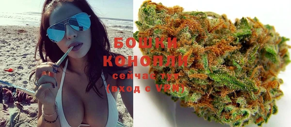 молекула духа Дмитровск