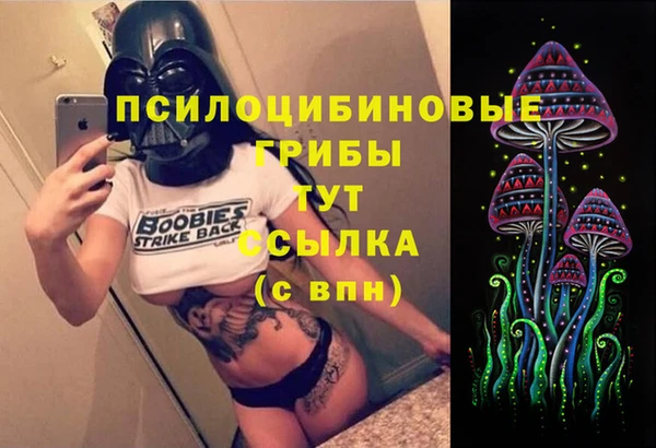 сатива Гусев