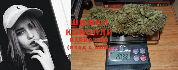 молекула духа Дмитровск