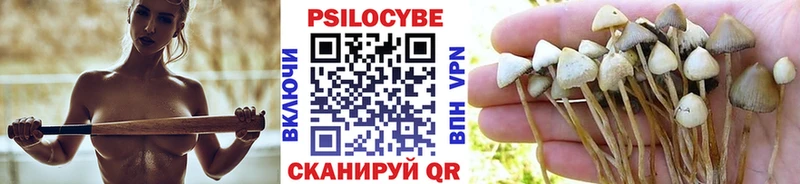 Галлюциногенные грибы Psilocybine cubensis Купить Соль-Илецк